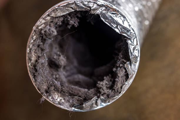 Affordable HVAC Duct Cleaning in CA