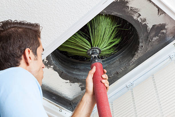 Best Local Air Duct Cleaning Services  in Aromas, CA